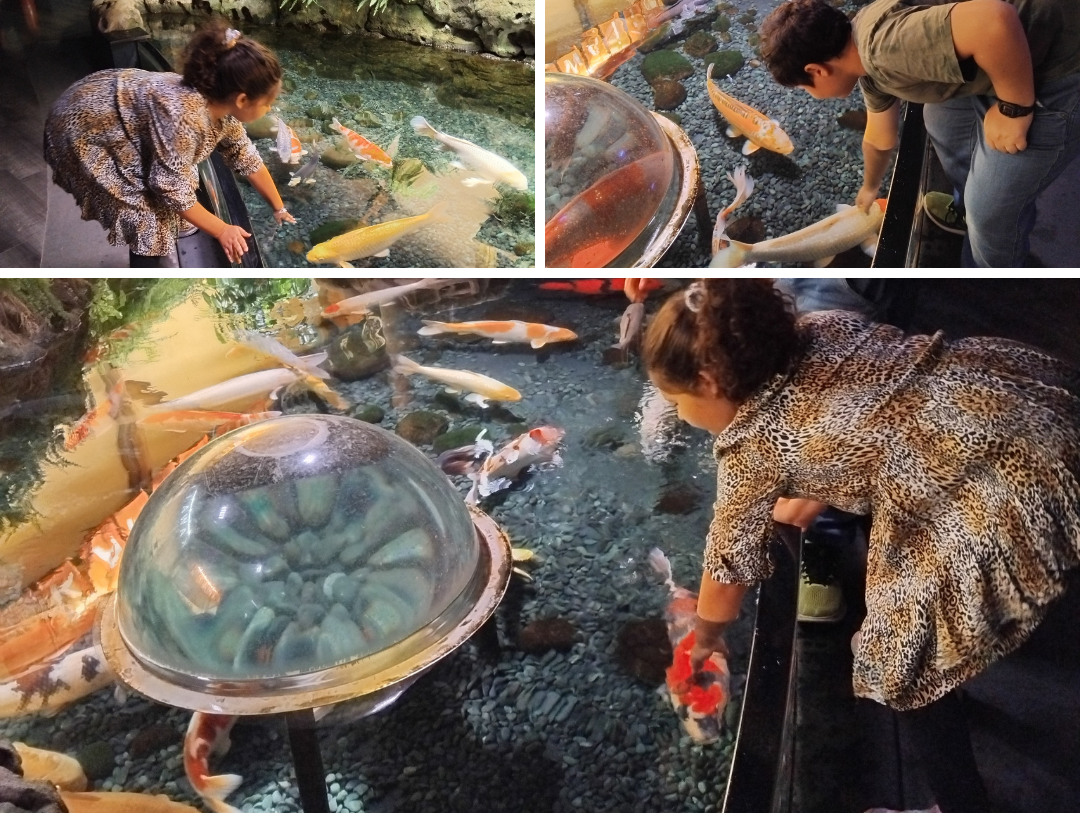 Children experiencing sensory-friendly travel moments at Aquarium de Paris — touching koi fish and exploring interactive exhibits in an inclusive family travel experience. One image shows a boy gently touching a koi fish, while the other two show his sister reaching out to the fish with curiosity and delight.