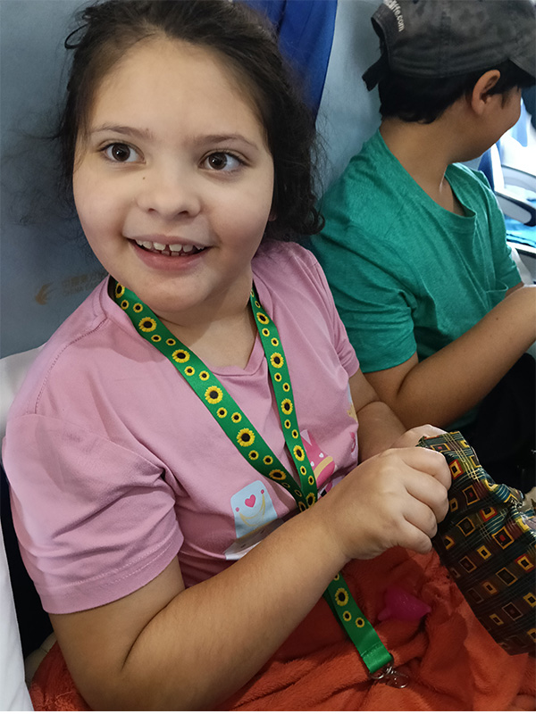 SusuSunflowersonPlane