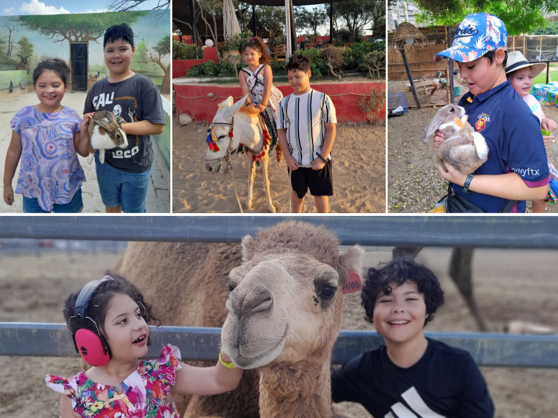 Collage of a brother and sister with animals including a rabbit, donkey and camel