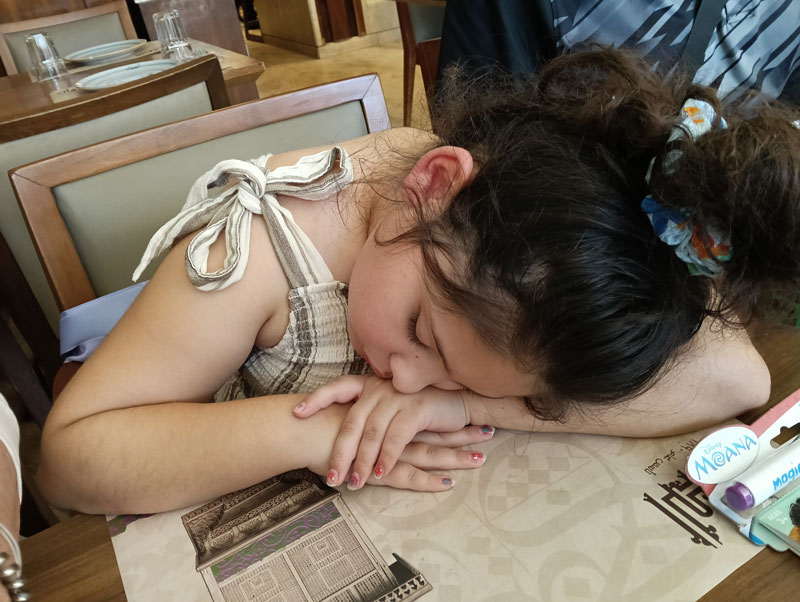 15 Must-Know Tips: Sensory & Emotional Regulation on Family Trips